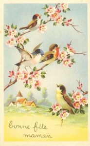 925c80324b65e37e01d710e9664801cd