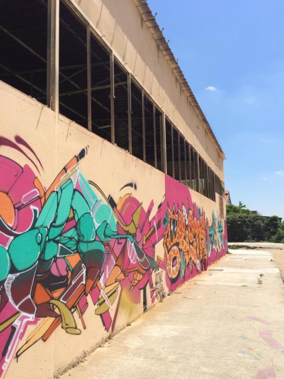 11271091_804874796275044_1375220330_n