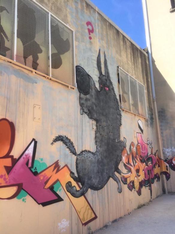 11350307_804874792941711_486237540_n