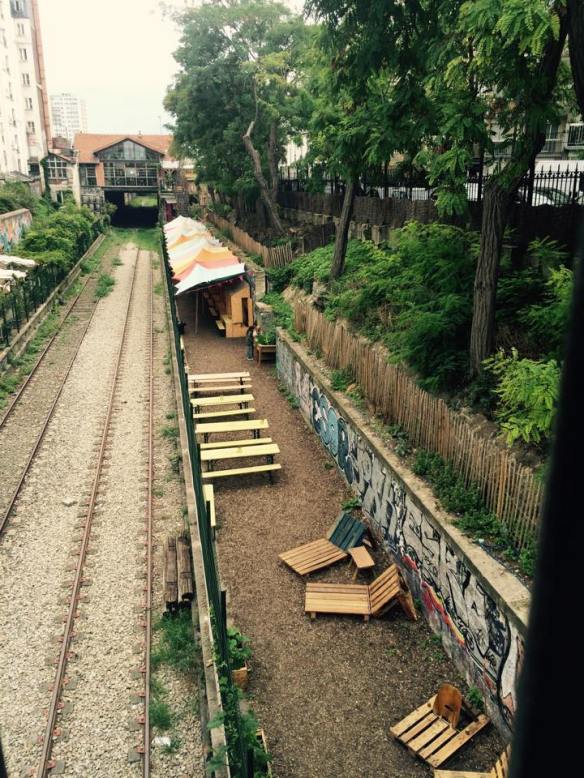 12026463_859613277467862_817056676_n