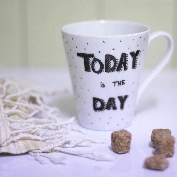 12666444_885993191517839_170995414_n